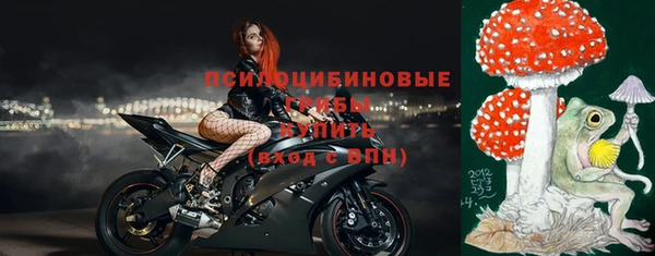 а пвп мука Бородино