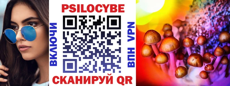 сколько стоит  Новый Уренгой  Псилоцибиновые грибы GOLDEN TEACHER 