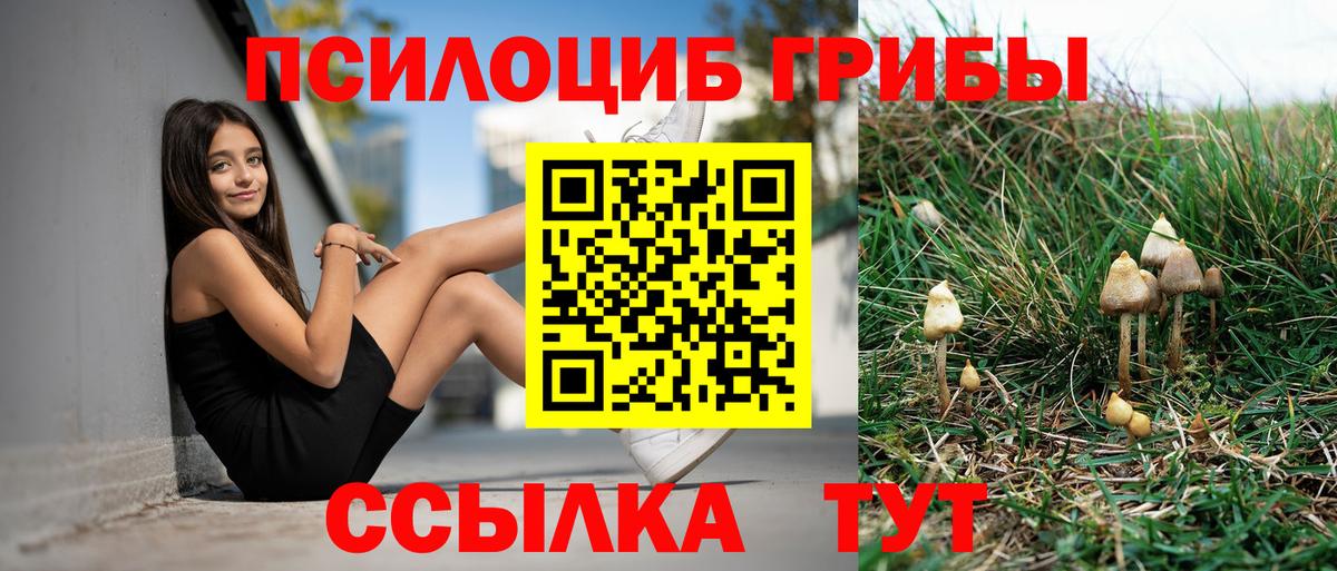Новый Уренгой  купить наркотики сайты  Псилоцибиновые грибы GOLDEN TEACHER  Вход с VPN  Галлюциногенные грибы ЛСД 